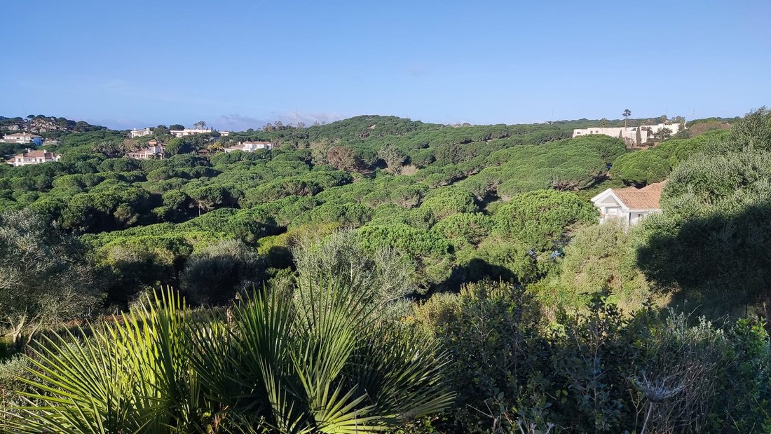 Land in Sotogrande, San Roque, Andalusia 3 - 17328299