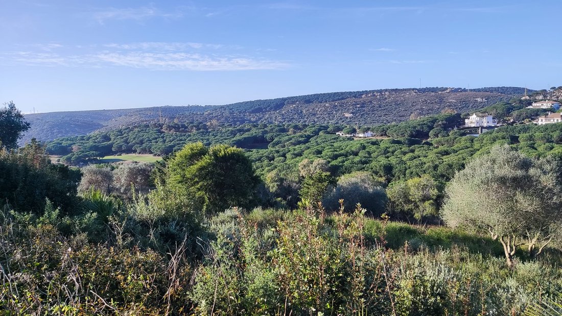 Land in Sotogrande, San Roque, Andalusia 1 - 17328299