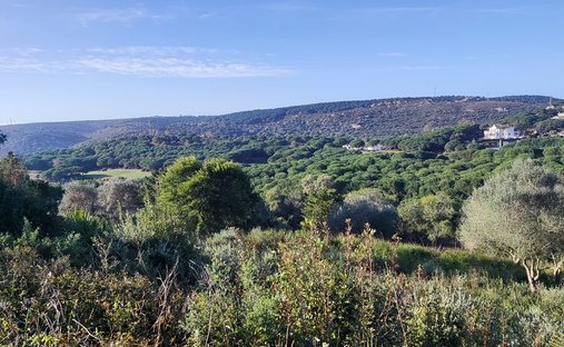 Terreno en Sotogrande, San Roque, Andalucía 1