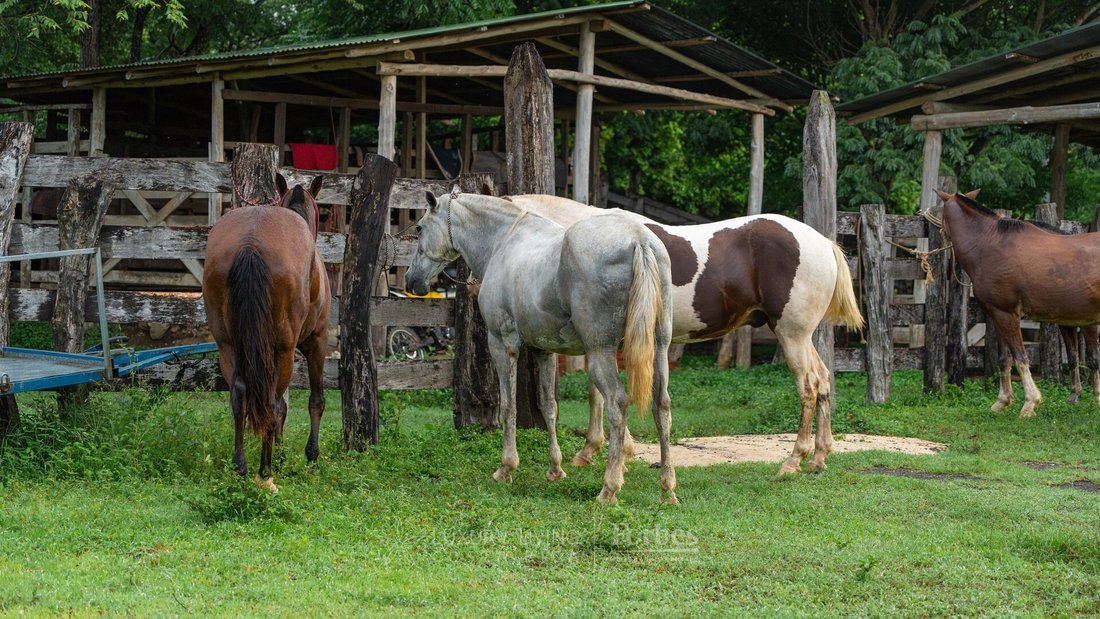 Finca in Veintisiete de Abril District, Guanacaste Province, Costa Rica 5 - 17436726