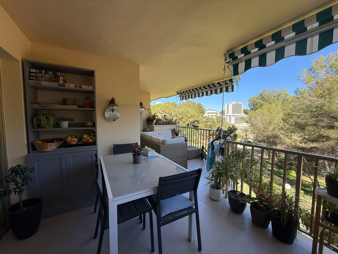 Apartment in Calvia, Balearic Islands, Spain 5 - 17438579