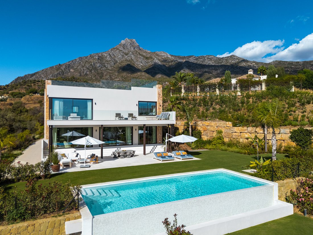 House in Golden Mile, Andalusia, Spain 1 - 16560393