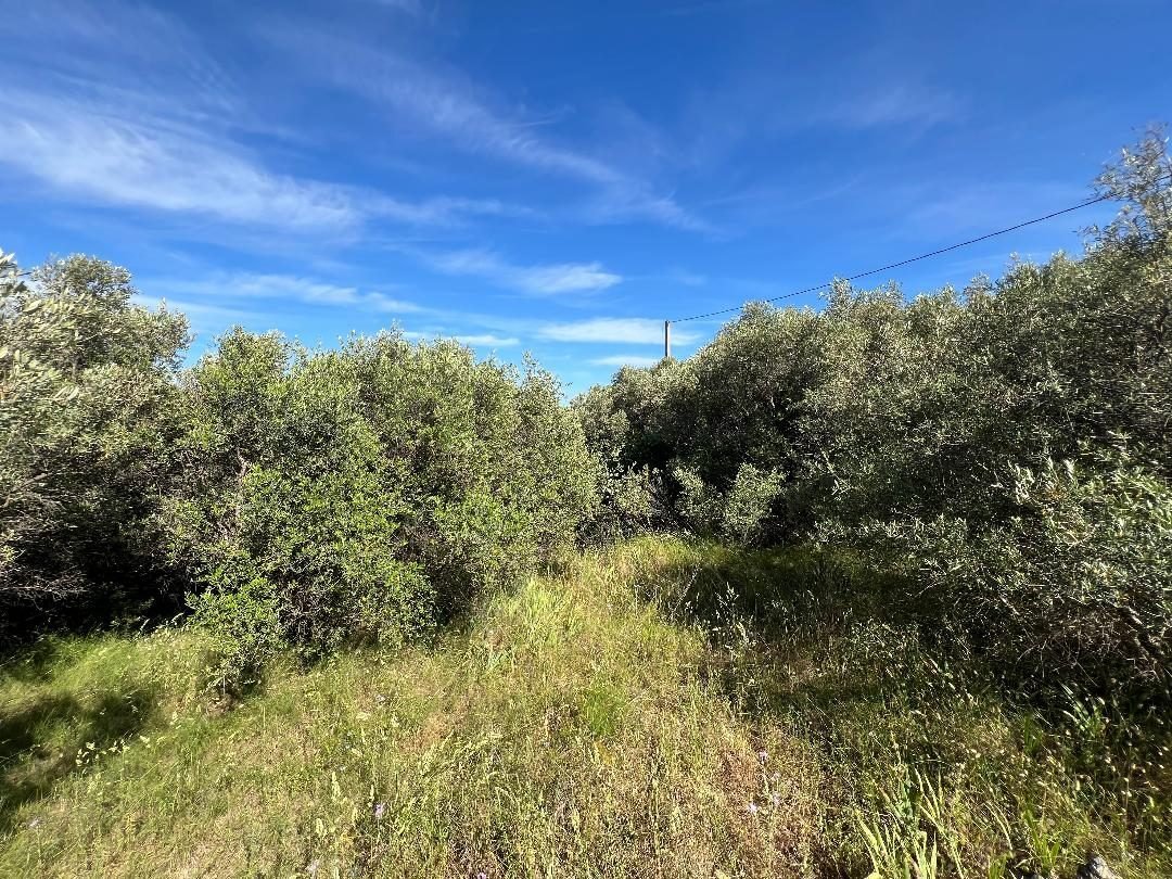Land in La Ciotat, Provence-Alpes-Côte d'Azur, France 5 - 17439765