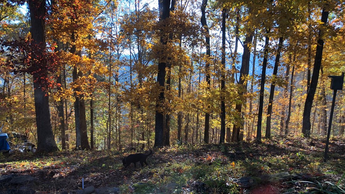 House in Seymour, Tennessee, United States 3 - 17437170