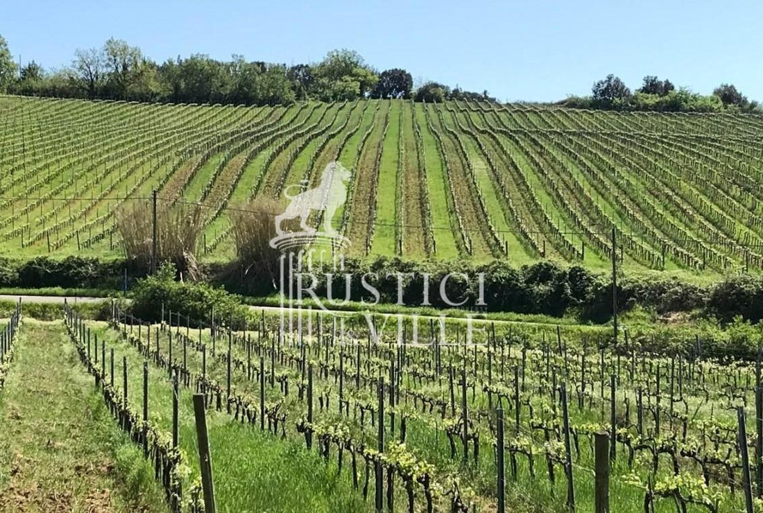 Villa in Casciana Terme Lari, Tuscany, Italy 1 - 17437782