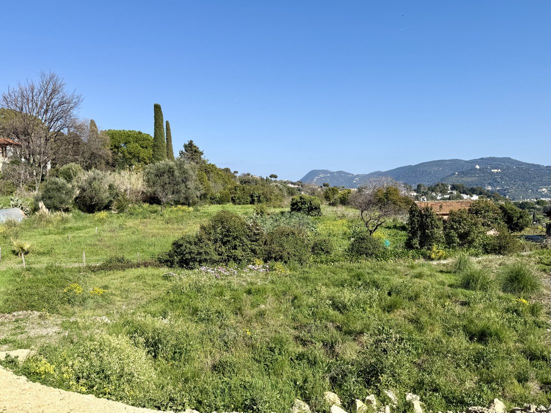 Nice, Provence-Alpes-Côte d'Azur, France 3 - 17004998