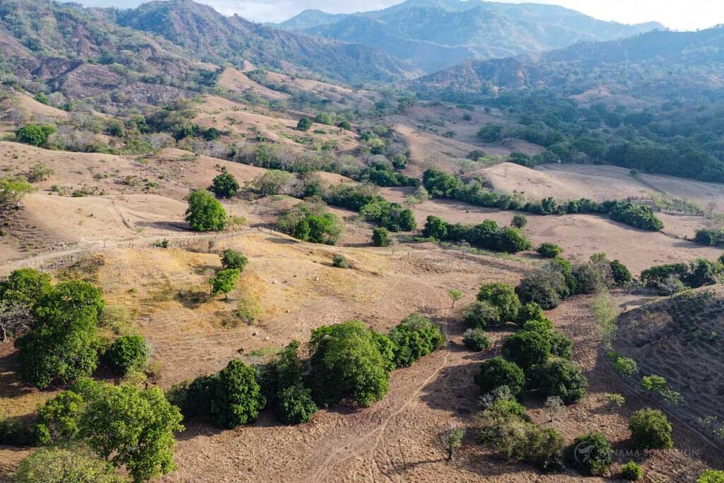 Land in Cambutal, Los Santos Province, Panama 4 - 15278510