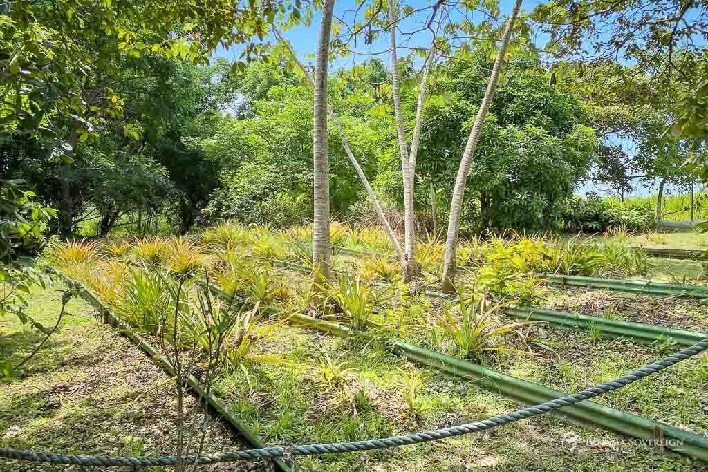 Casa a Panama Oeste, San Carlos, Panamá 4 - 16270564