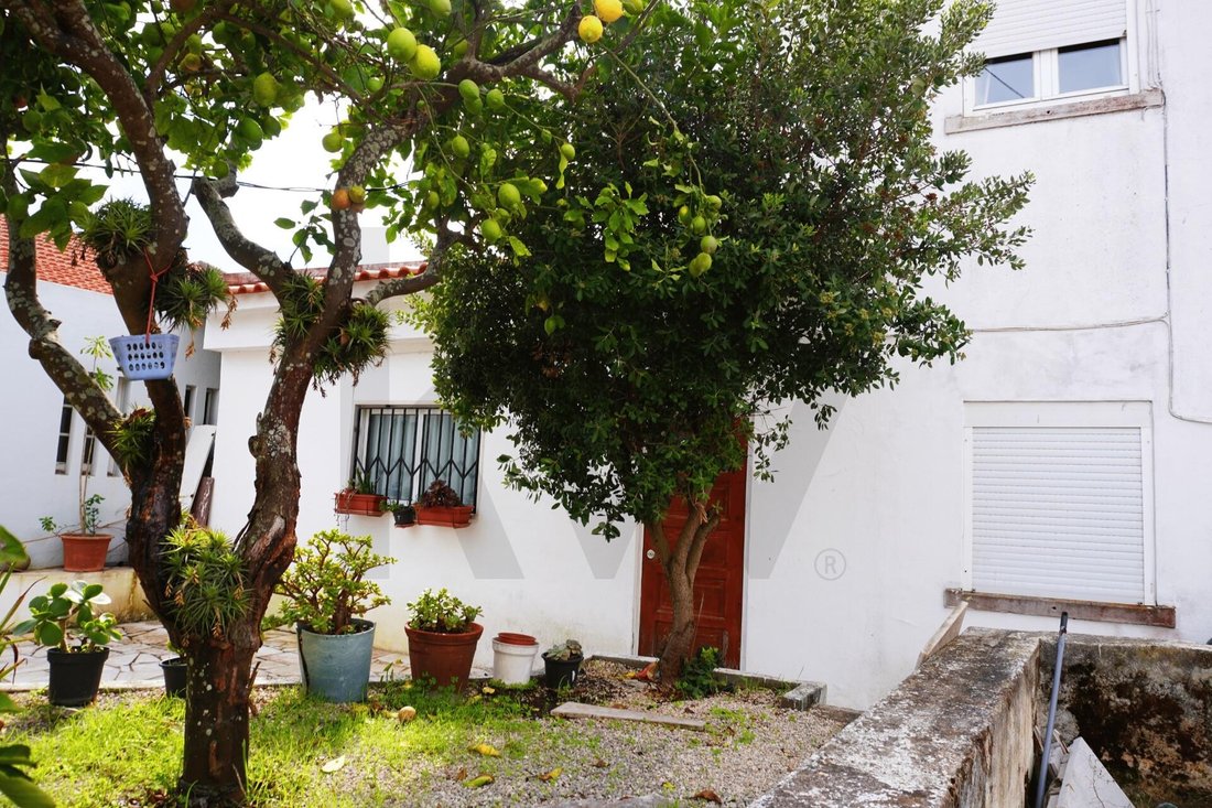 Alcabideche, Lisbon, Portugal 5 - 17440451