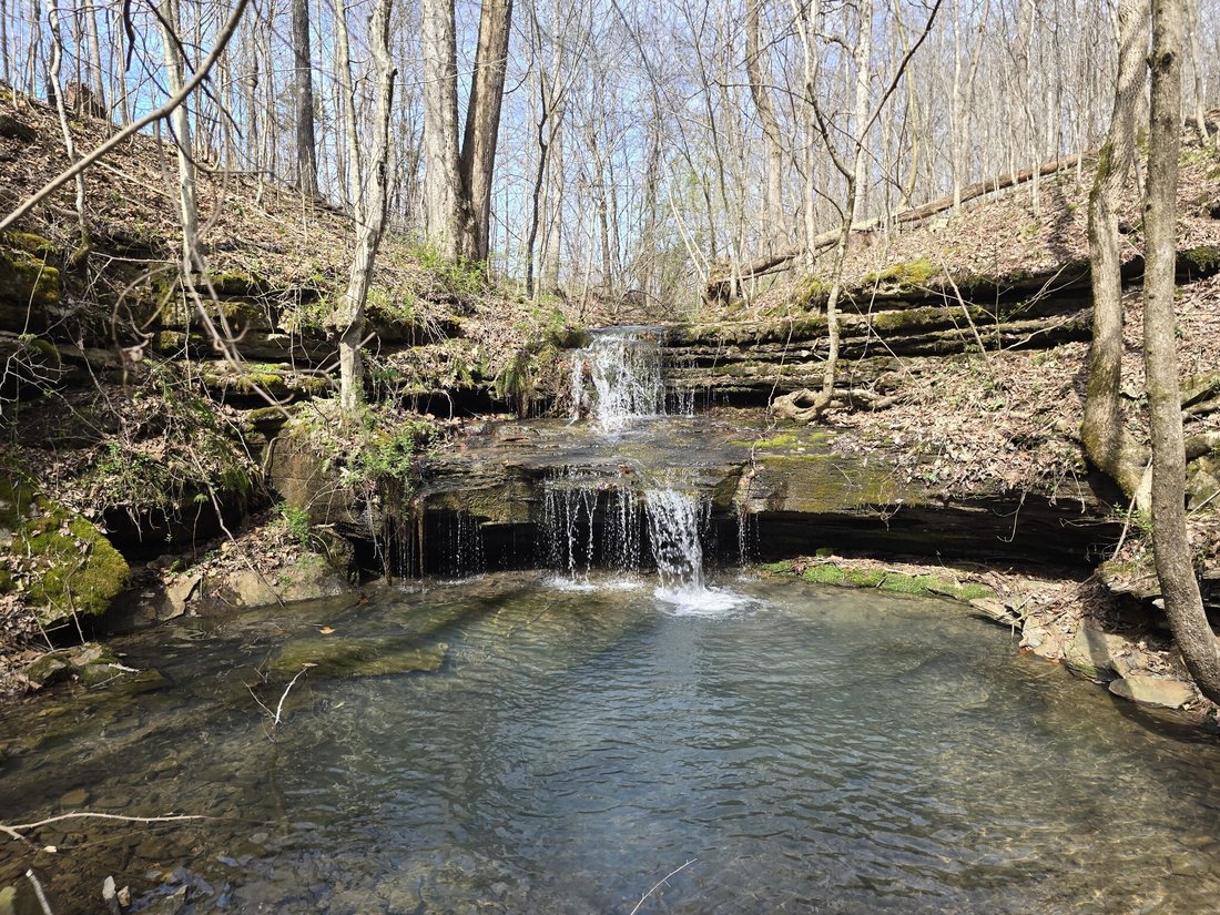Farm Ranch in Pulaski, Tennessee, United States 5 - 17440418