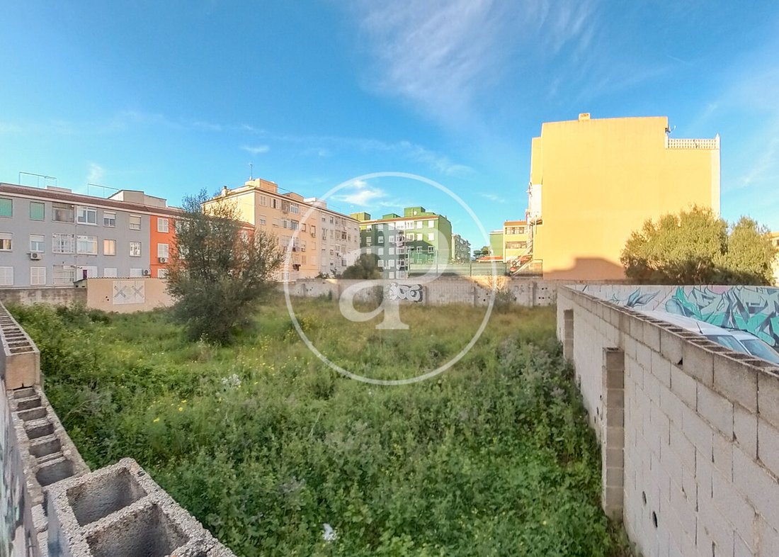 Land in Palma, Balearic Islands, Spain 2 - 17440615