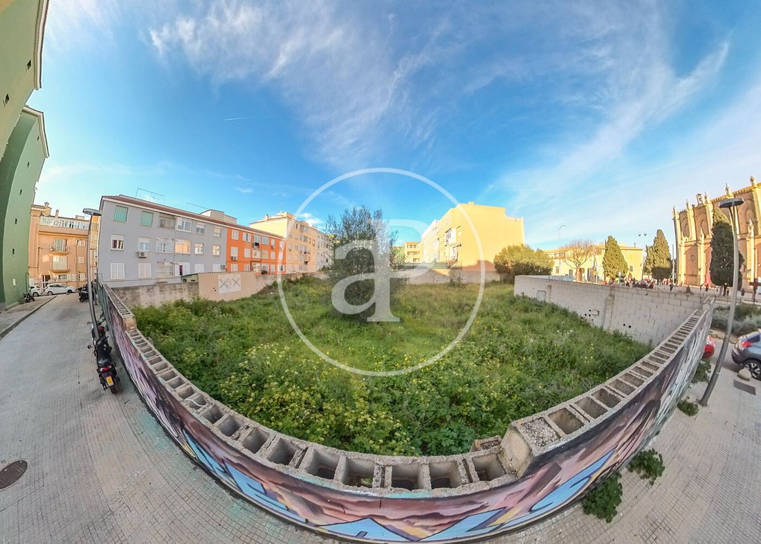 Land in Palma, Balearic Islands, Spain 3 - 17440615