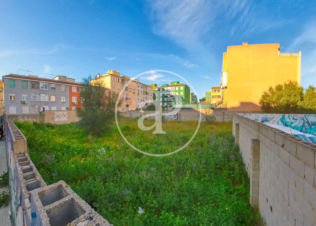 Land in Palma, Balearic Islands, Spain 1 - 17440615