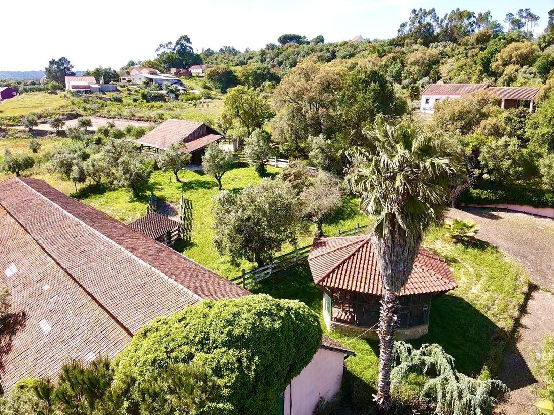 Country House in Gondemaria e Olival, Santarem District, Portugal 2 - 16280899