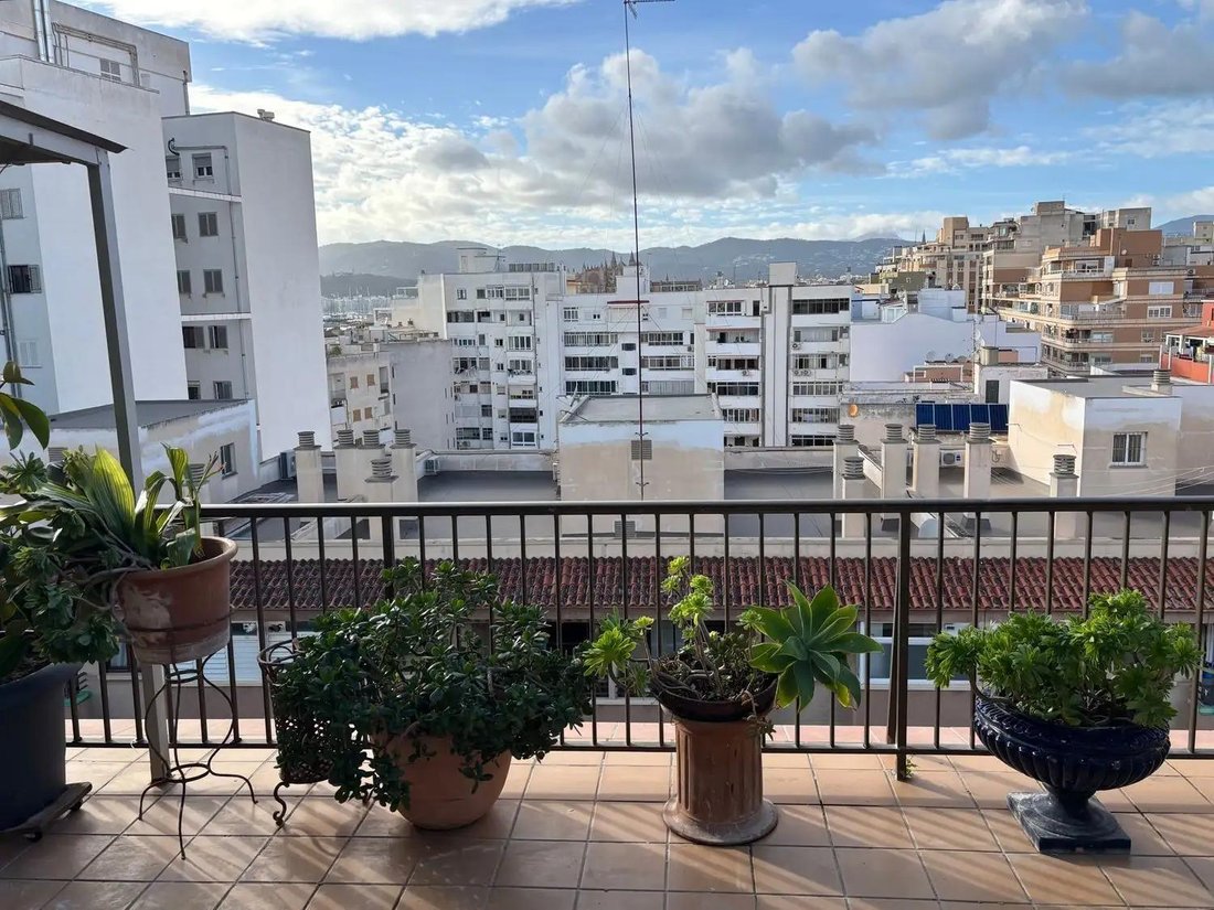 Apartment in Palma, Balearic Islands, Spain 1 - 17440566