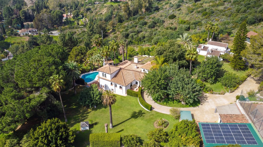 Estate in Alhaurin el Grande, Andalusia, Spain 5 - 17422520