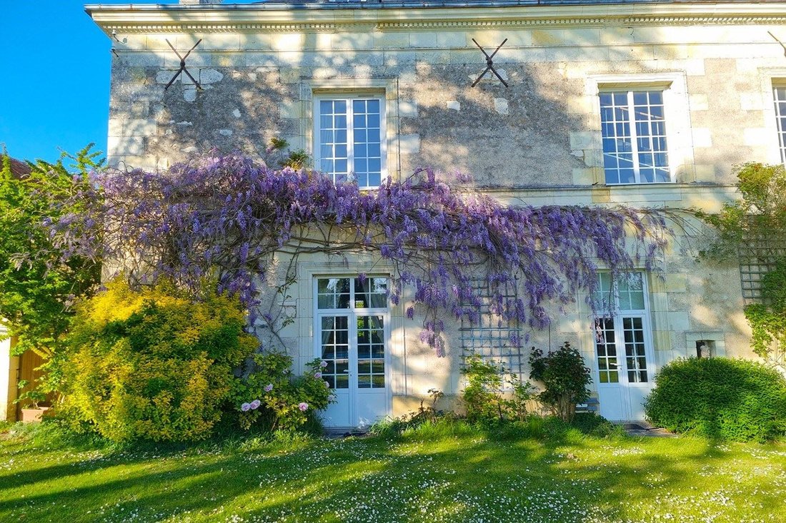 House in Huismes, Centre-Val de Loire, France 1 - 16075255