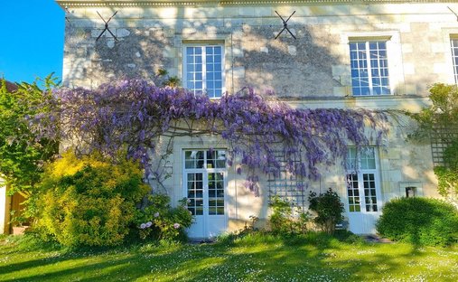 House in Huismes, Centre-Val de Loire, France 1