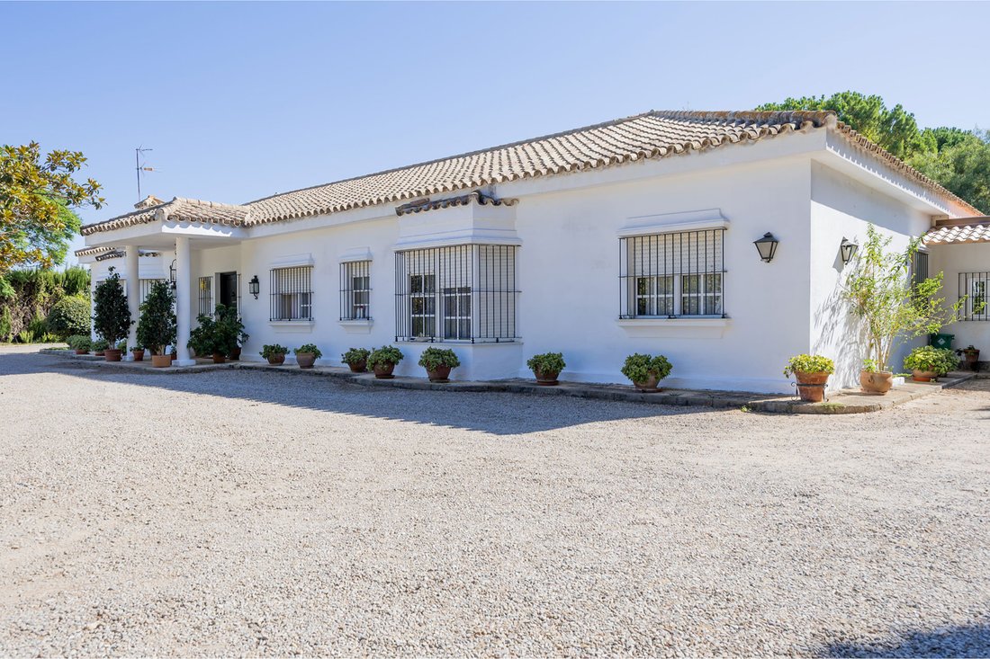 House in Jerez De La Frontera, Andalusia, Spain 5 - 17302863