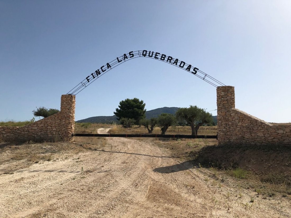 Land in Yecla, Murcia, Spanien 1 - 17440771