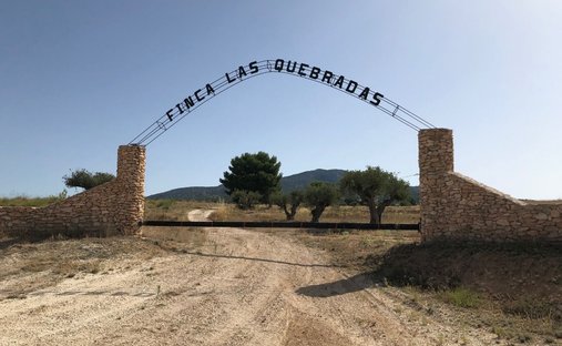 Terreno a Yecla, Murcia, Spagna 1