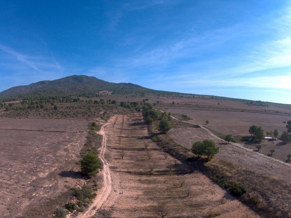 Land in Yecla, Murcia, Spanien 5 - 17440771