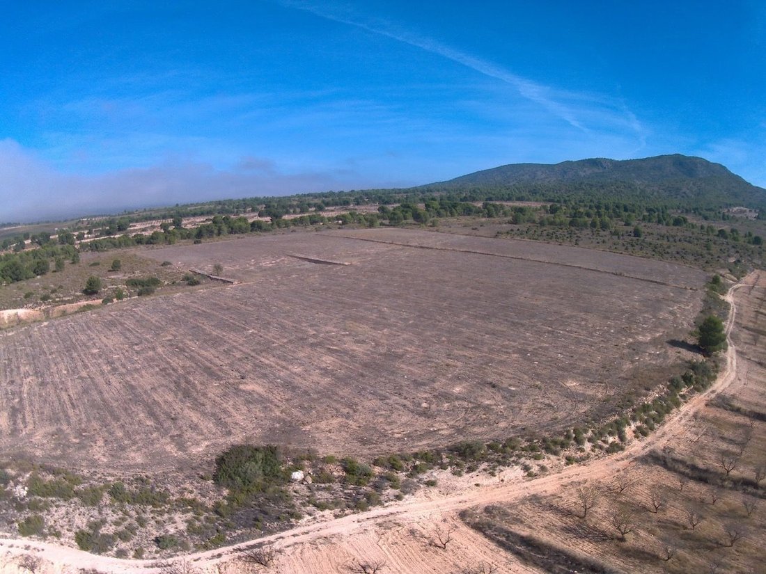 Land in Yecla, Murcia, Spanien 4 - 17440771