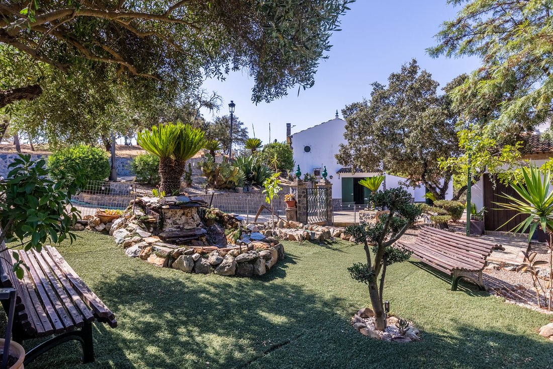 Finca in Orihuela, Valencian Community, Spain 3 - 16215072