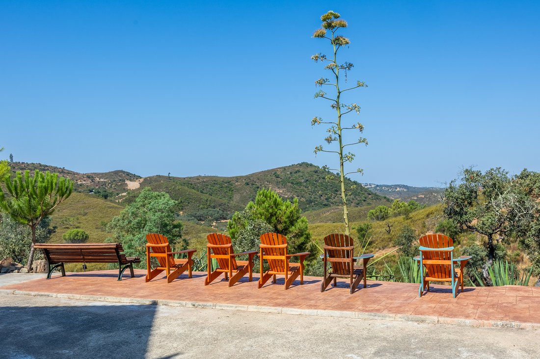 Finca in Orihuela, Valencian Community, Spain 2 - 16215072