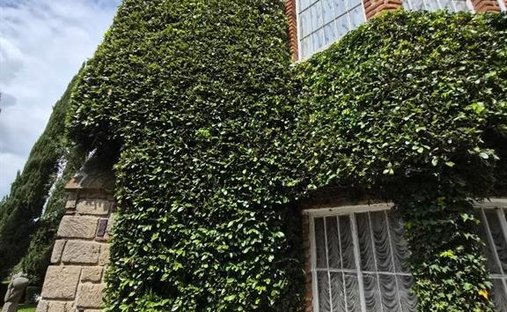 Casa a Ciudad López Mateos, Stato del Messico, Messico 1