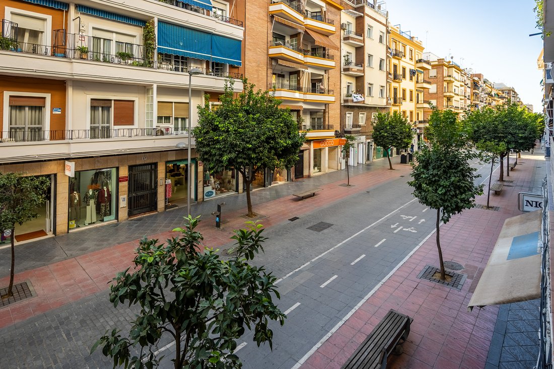 Apartment in Los Remedios, Seville, Spain 1 - 16413260