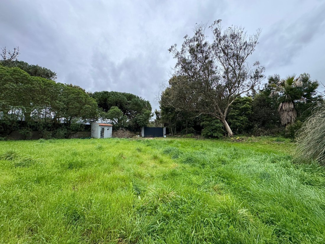 Terreno a Sintra, Lisbona, Portogallo 5 - 17442083