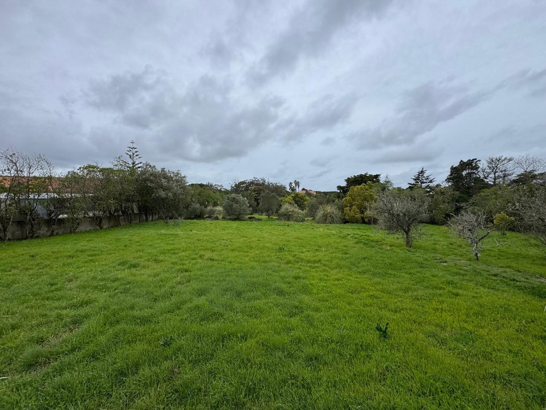 Terreno a Sintra, Lisbona, Portogallo 4 - 17442083