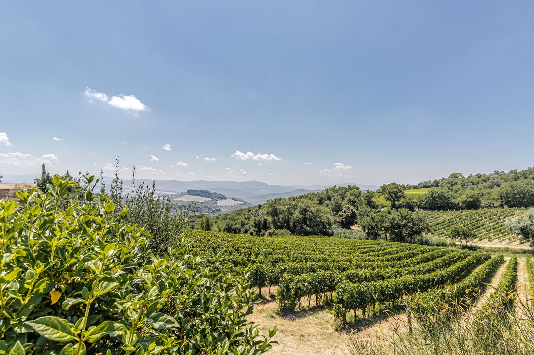 Chateau in Montecatini Val di Cecina, Tuscany, Italy 3 - 17442500