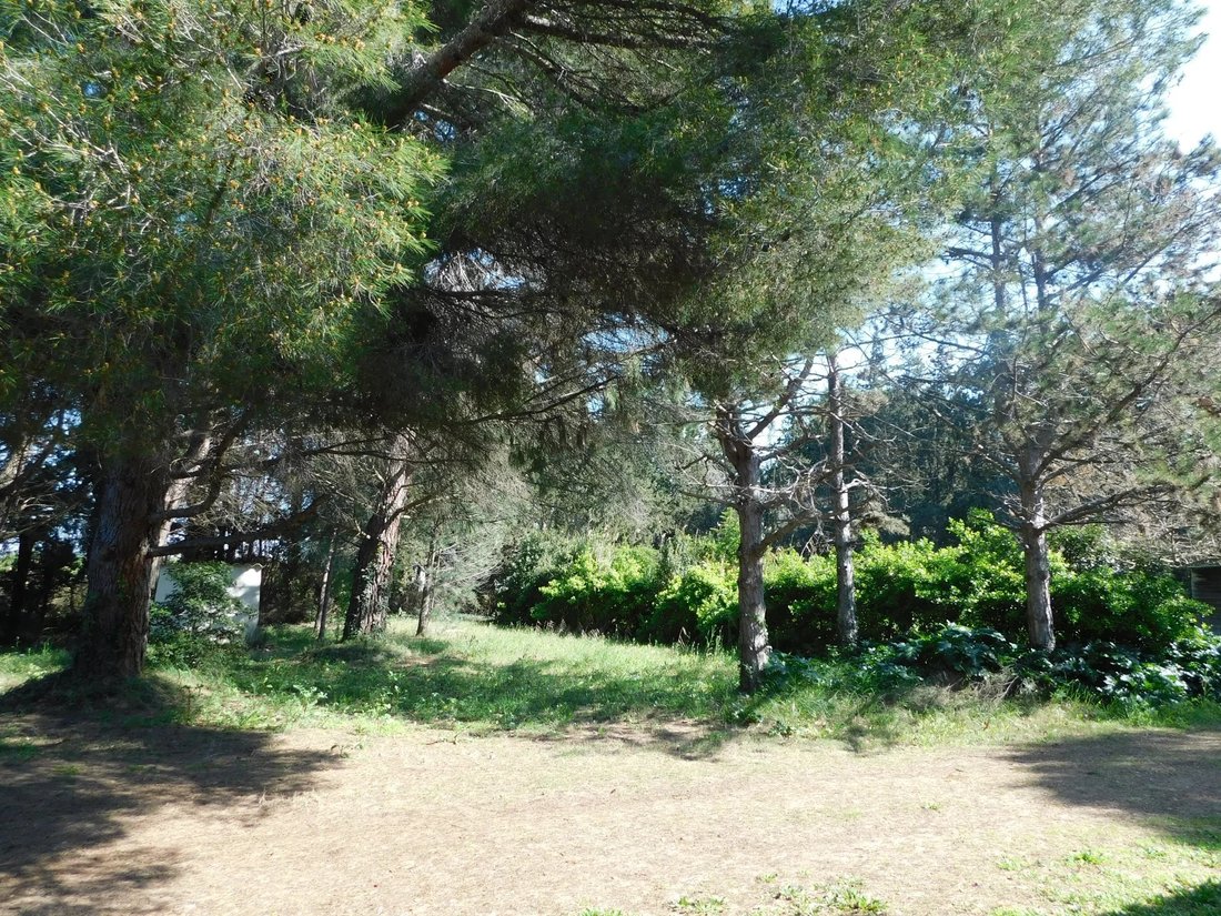 Villa in Arles, Provence-Alpes-Côte d'Azur, France 5 - 17444583