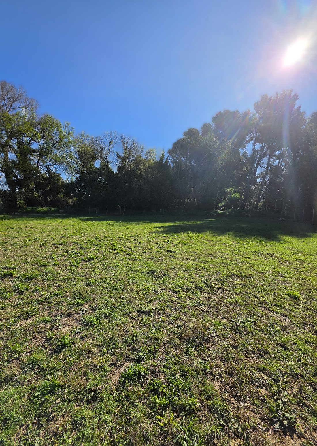 Land in Maussane-les-Alpilles, Provence-Alpes-Côte d'Azur, France 1 - 17444049
