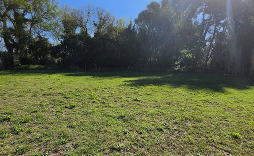 Land in Maussane-les-Alpilles, Provence-Alpes-Côte d'Azur, France 1