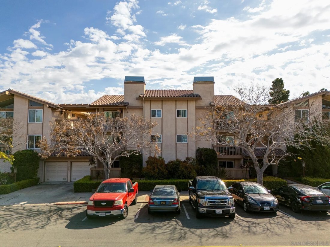 San Diego, California, United States 5 - 17446392