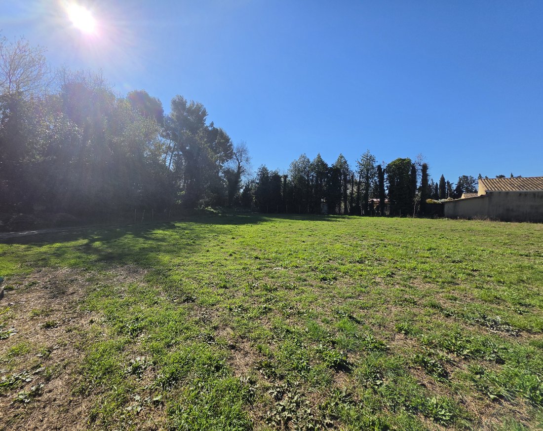 Land in Maussane-les-Alpilles, Provence-Alpes-Côte d'Azur, France 4 - 17444049