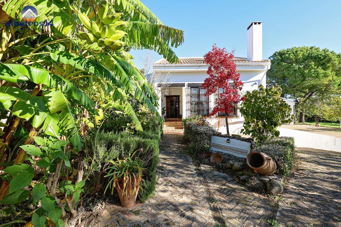 Villa in Aljaraque, Andalusia, Spain 1 - 17447047