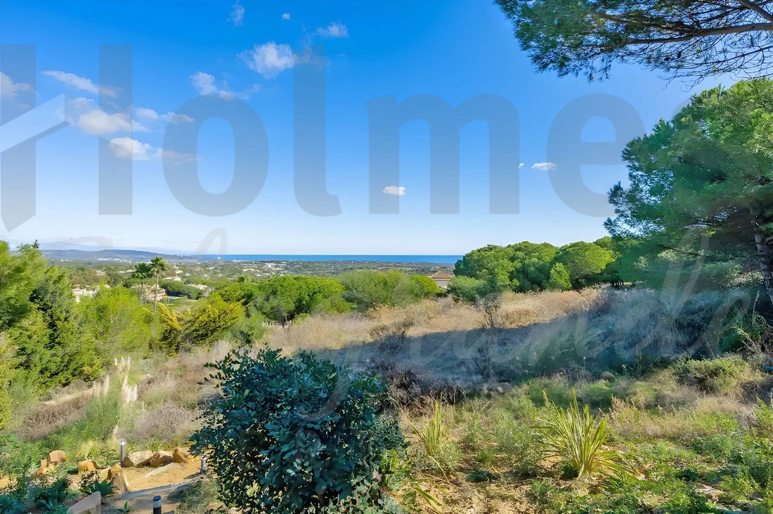 Land in Sotogrande, San Roque, Andalusia 3 - 17442396