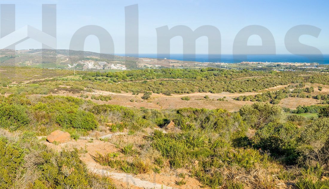 Land in Sotogrande, San Roque, Andalusia 1 - 17443634