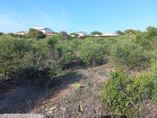 Land in Ciutadella de Menorca, Balearic Islands, Spain 2 - 17442306