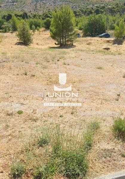 Land in Penteli, Attica, Greece 3 - 17447077