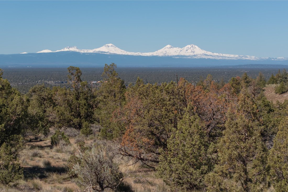 Land in Powell Butte, Oregon, United States 1 - 17442964