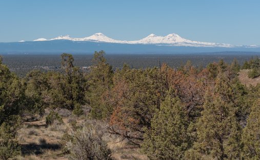 Land in Powell Butte, Oregon, Vereinigte Staaten 1