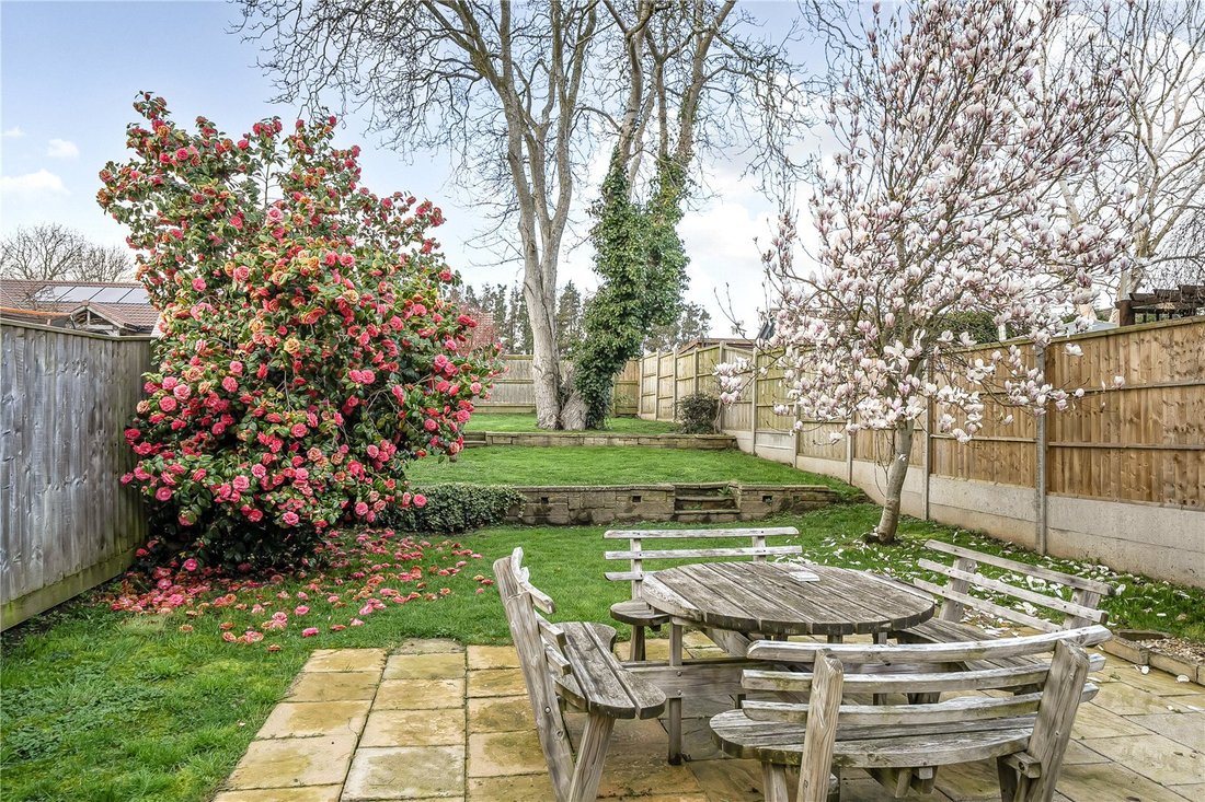 House in Shepton Beauchamp, England 3 - 17442362