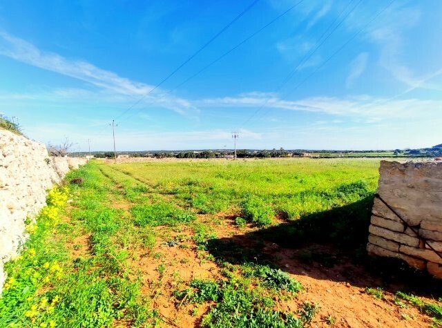 Country House in Ciutadella de Menorca, Balearic Islands, Spain 5 - 17442679