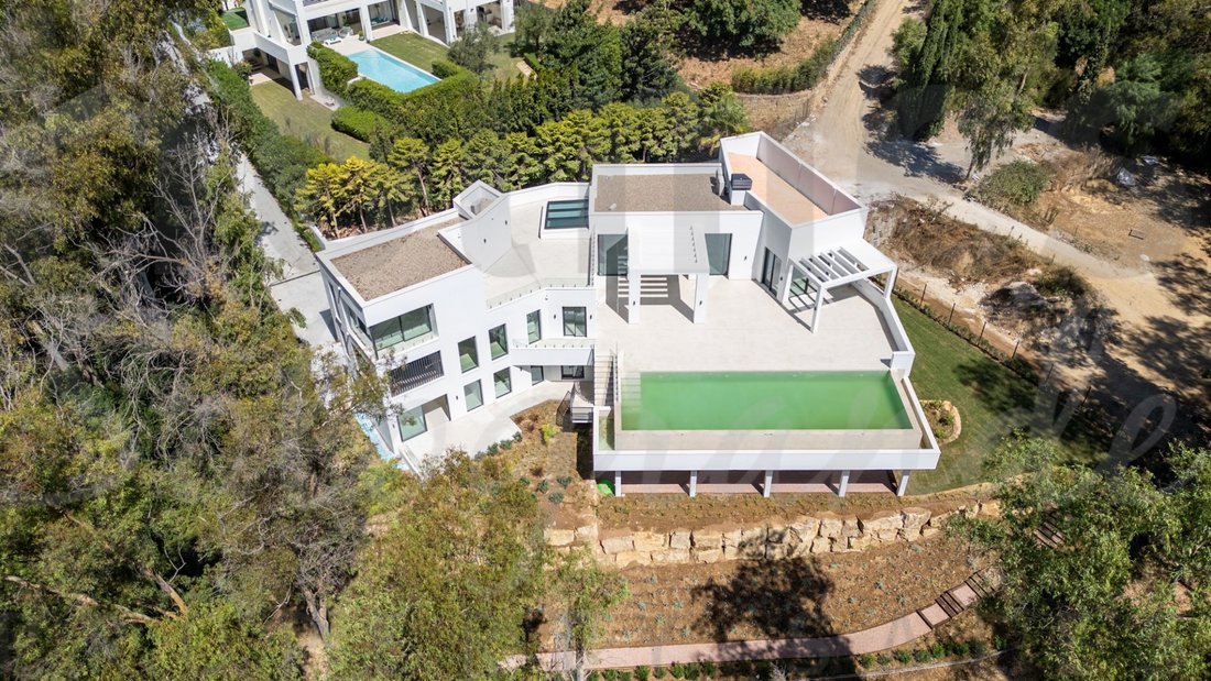 Villa in Sotogrande, San Roque, Andalusia 2 - 17443746