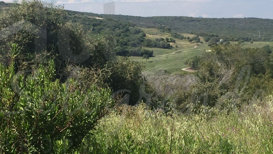Land in Sotogrande, San Roque, Andalusia 3 - 17442608